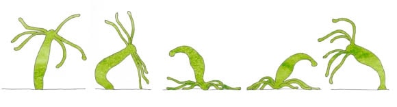 Kraken россия
